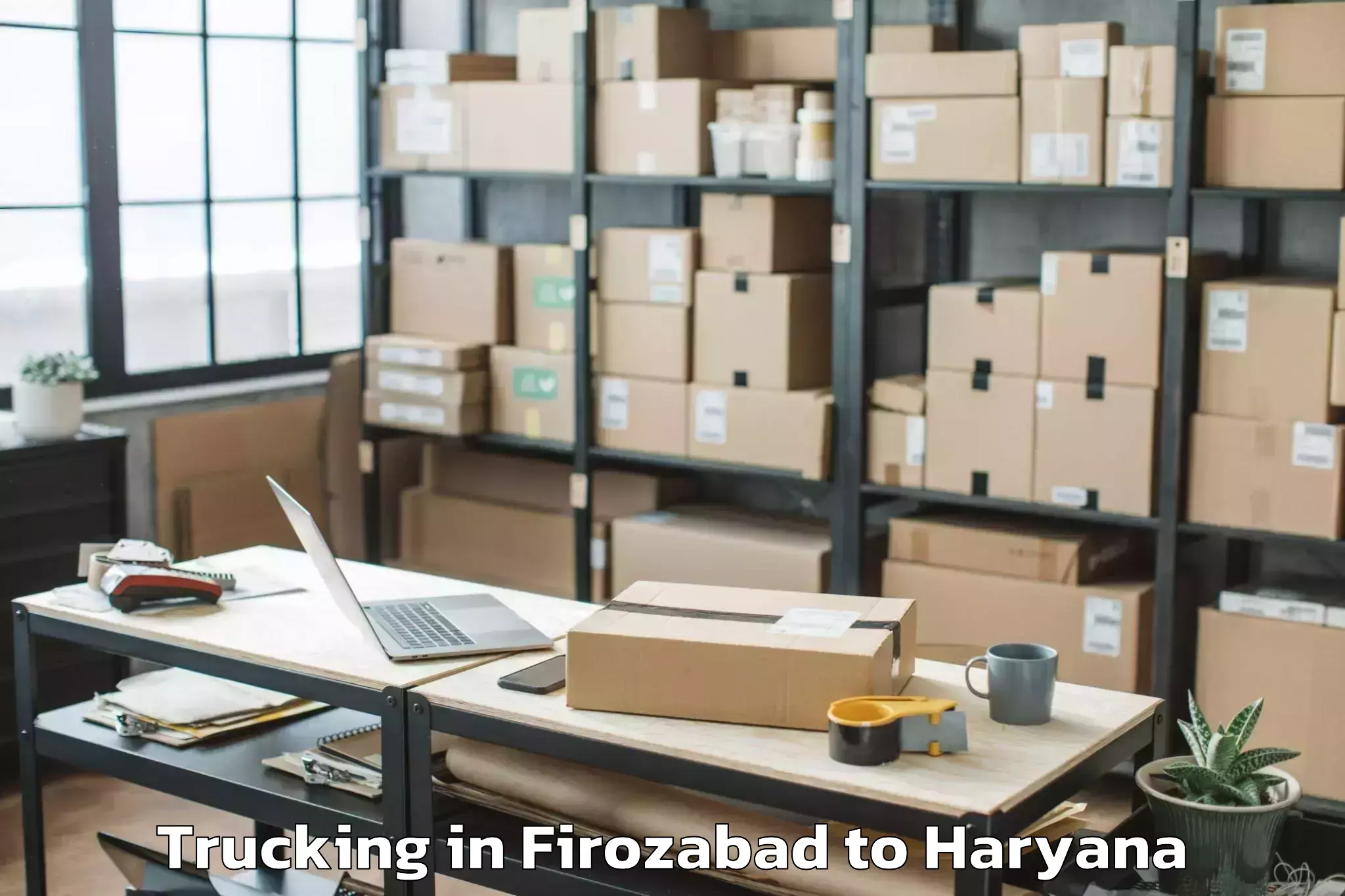 Easy Firozabad to Cyber City Gurgaon Trucking Booking